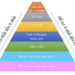 Từng bước nhỏ: Hỗ trợ trẻ bằng cách chia nhỏ mục tiêu và thang thứ bậc hỗ trợ